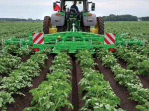 מיכון תפוחי אדמה